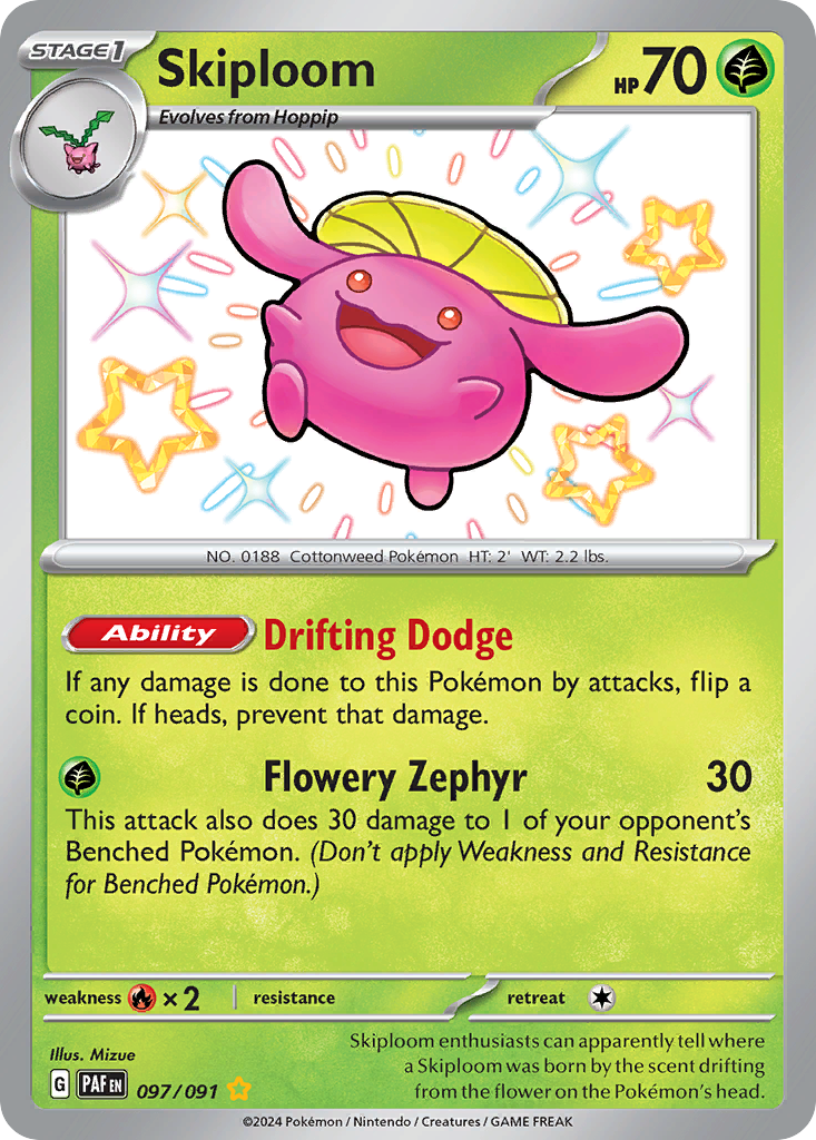 Skiploom 097/091