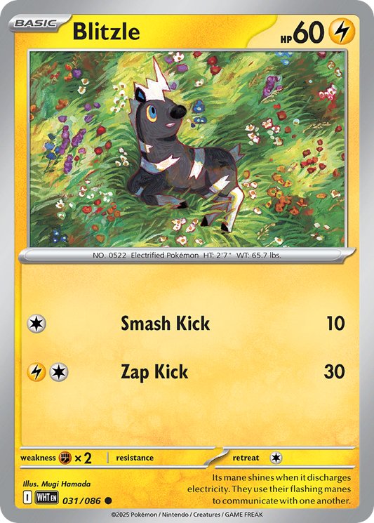 Blitzle 031/086 - Reverse Holo