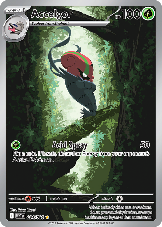 Accelgor 094/086 - Reverse Holo