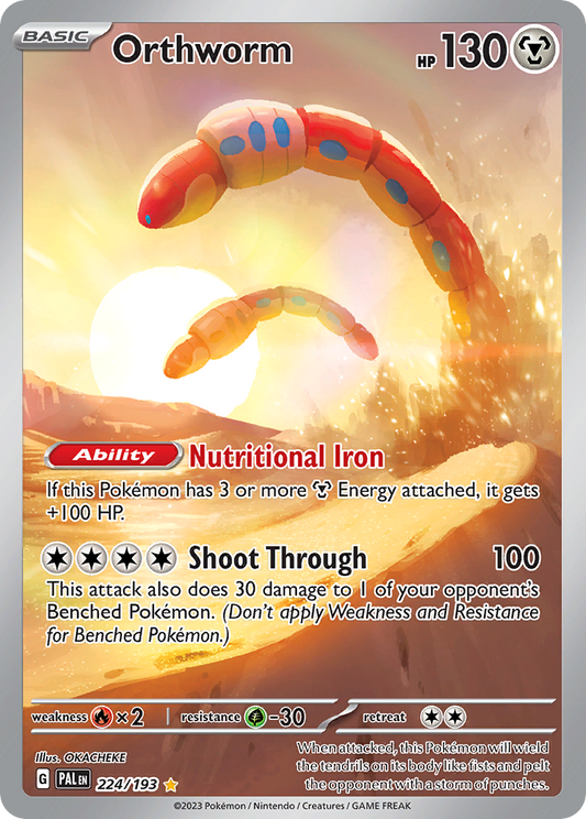 Orthworm 224/193