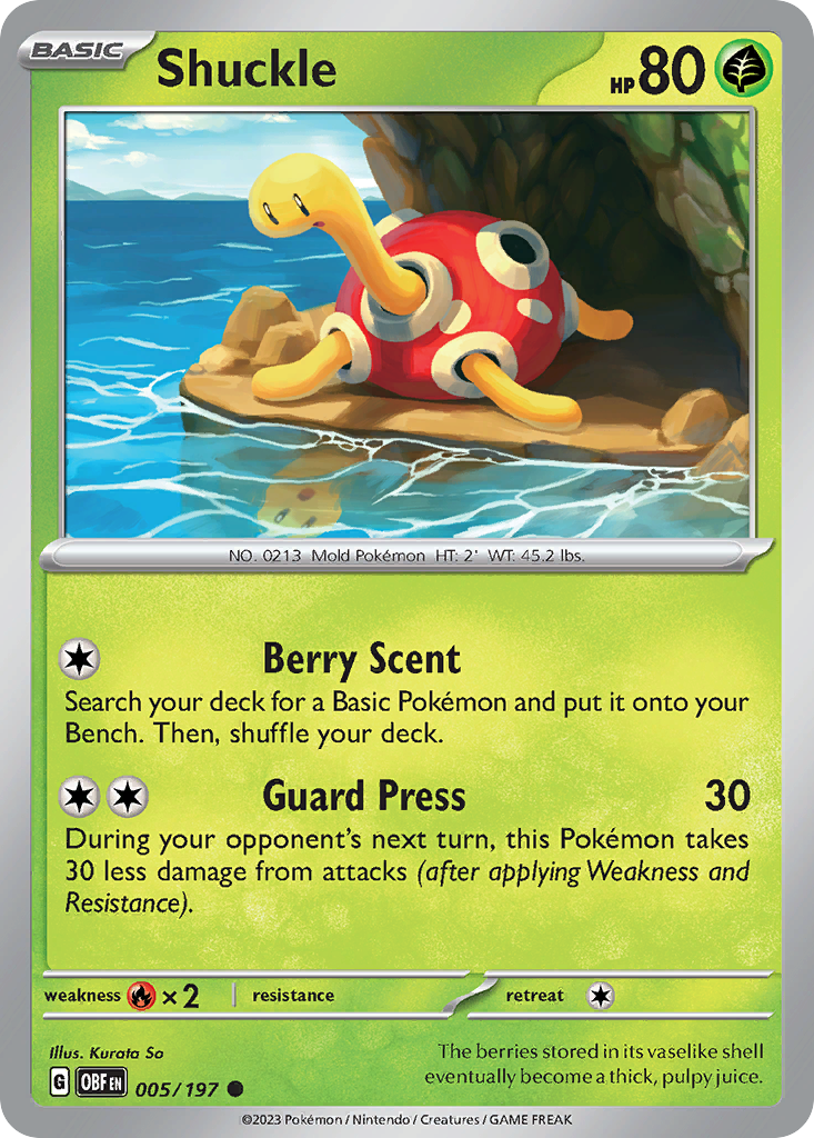 Shuckle 005/197 - Reverse Holo