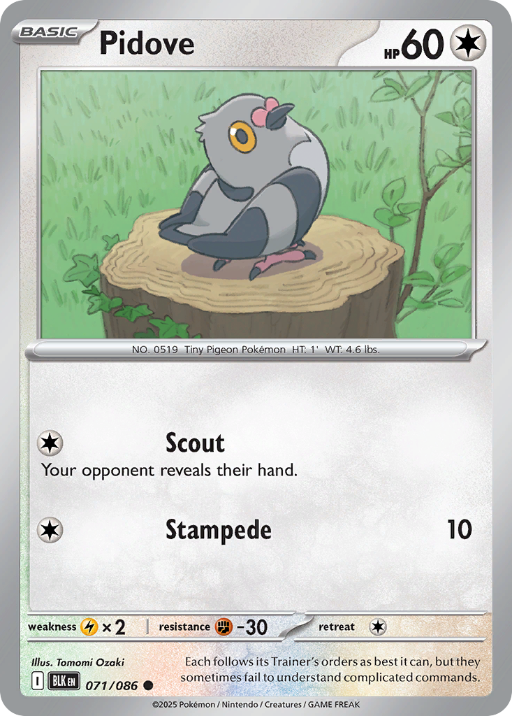 Pidove 071/086 - Reverse Holo