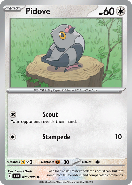 Pidove 071/086 - Reverse Holo