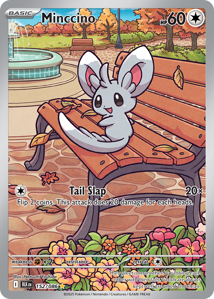 Minccino 152/086 - Reverse Holo