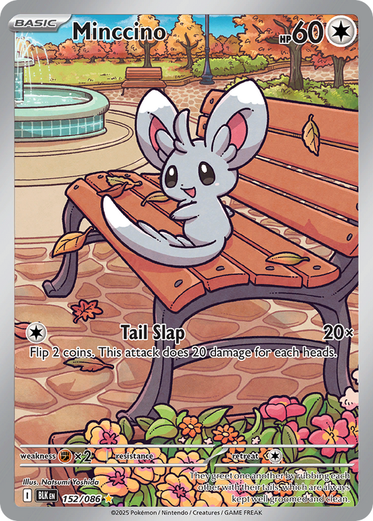 Minccino 152/086 - Reverse Holo